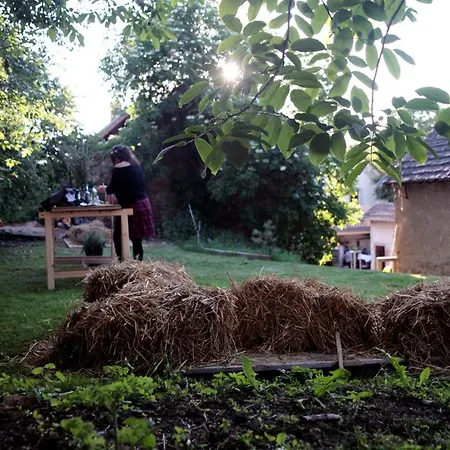 Penzion U Květů Milesov Exteriér fotografie